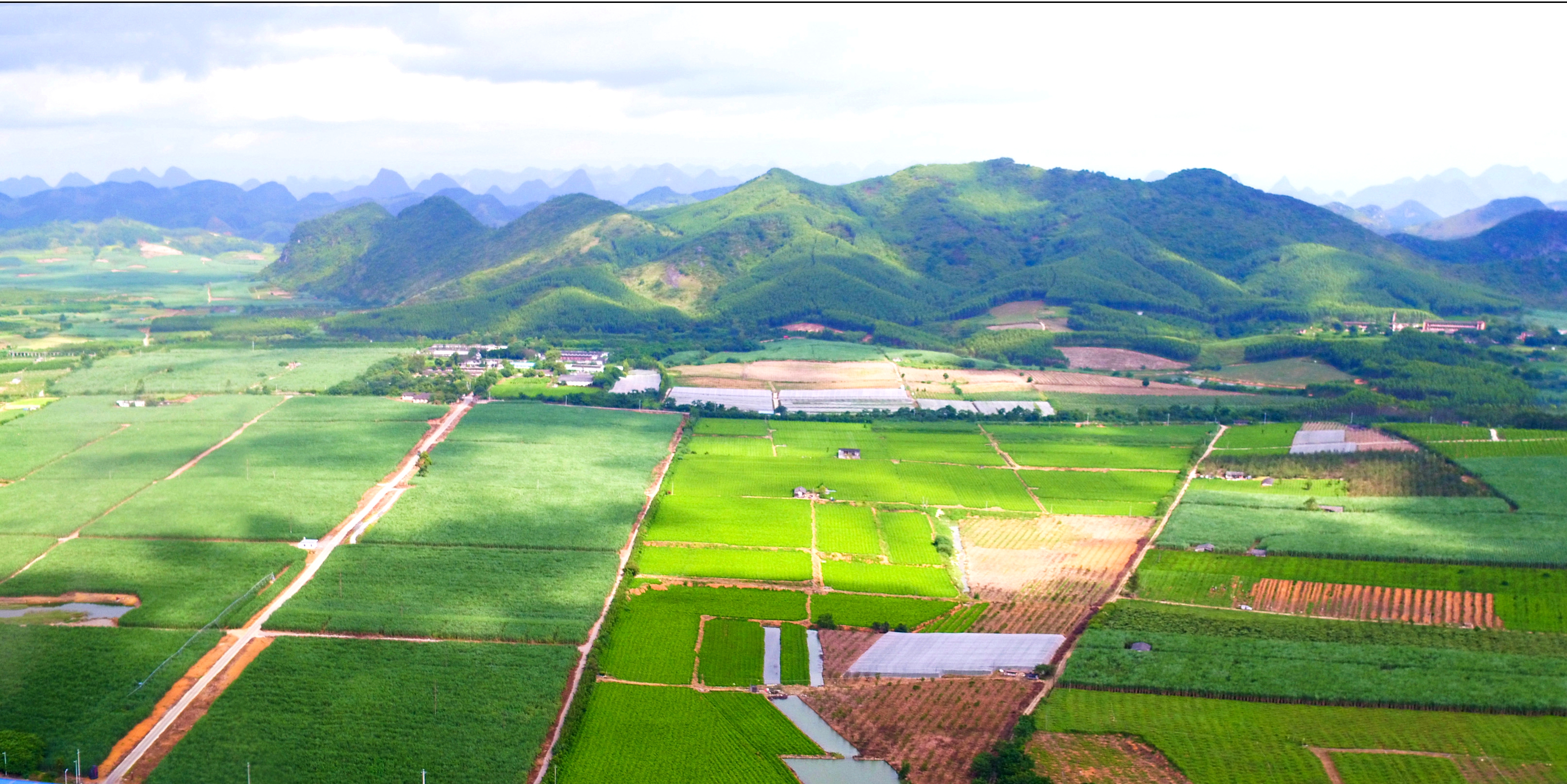 凤糖现代农业基地鸟瞰图.jpg